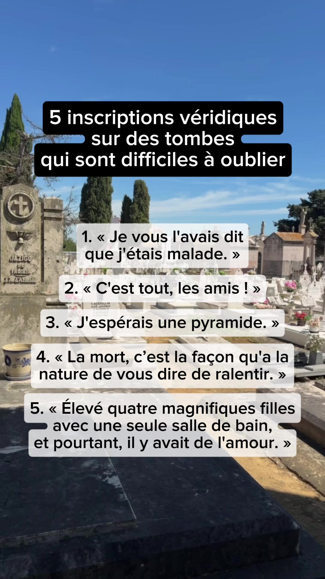 @MyHeritage France