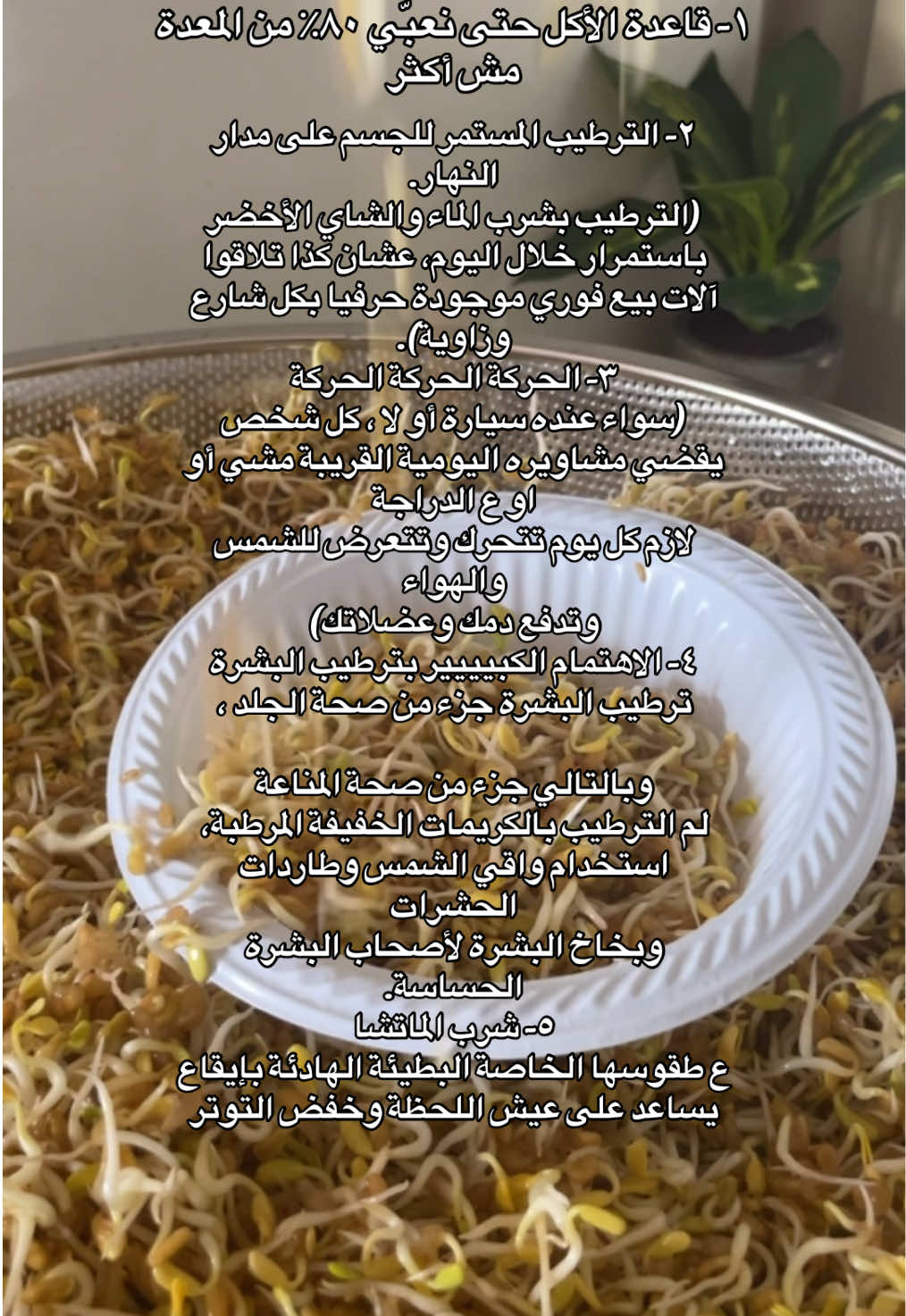 @رِقــة | RIQA