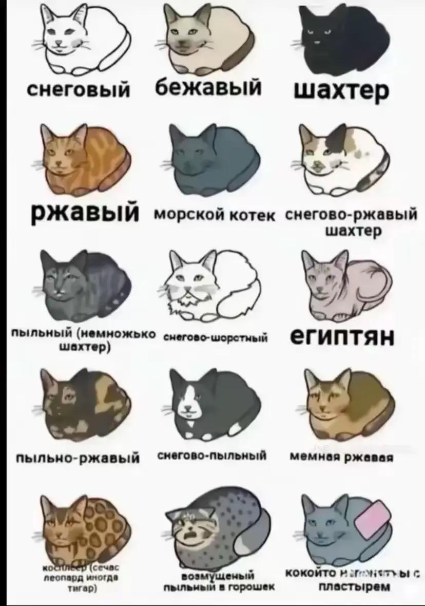 @Варя на руке 👉✋