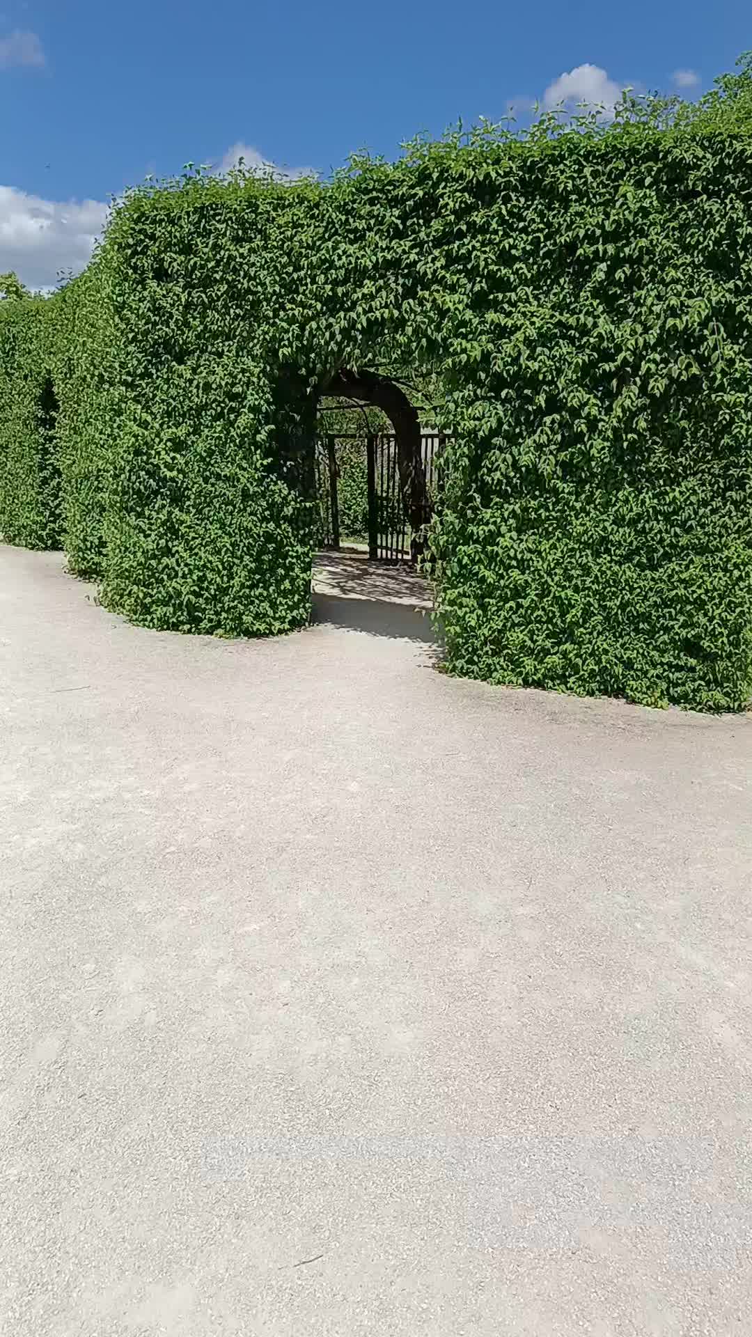 @Au&scaron;ra 🇱🇹❤️🇩🇪❤️