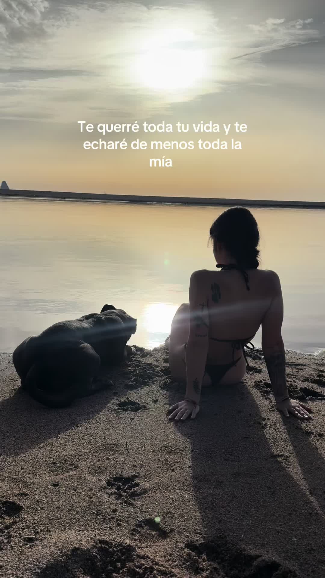 @SEGURA✨