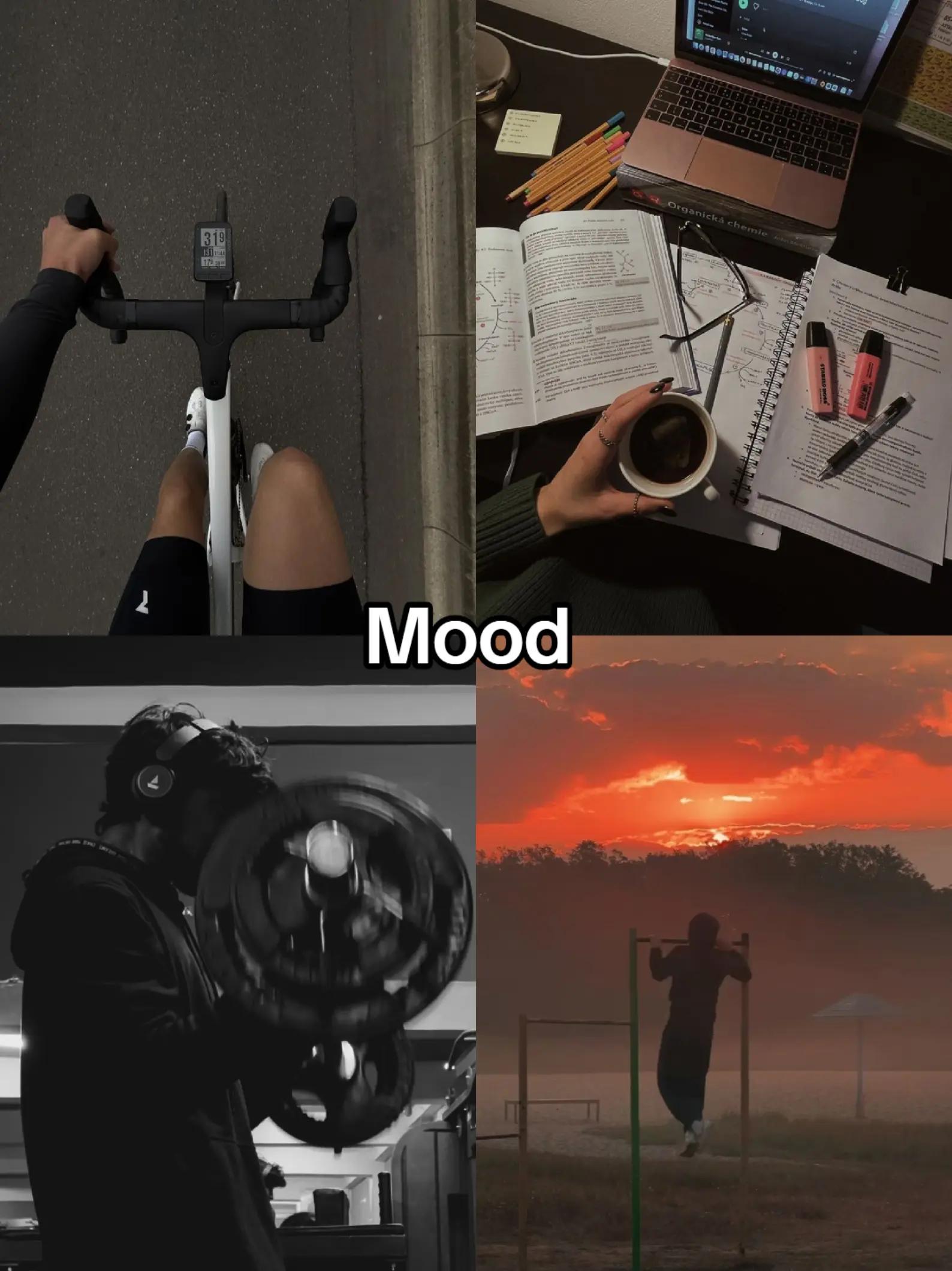@𝒈𝒚𝒎.𝒏𝒐𝒙