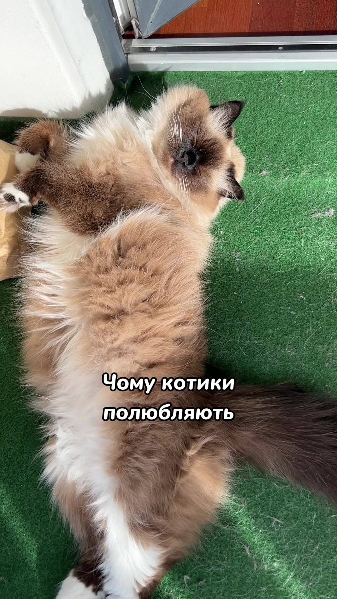 @Місс КІСЯ