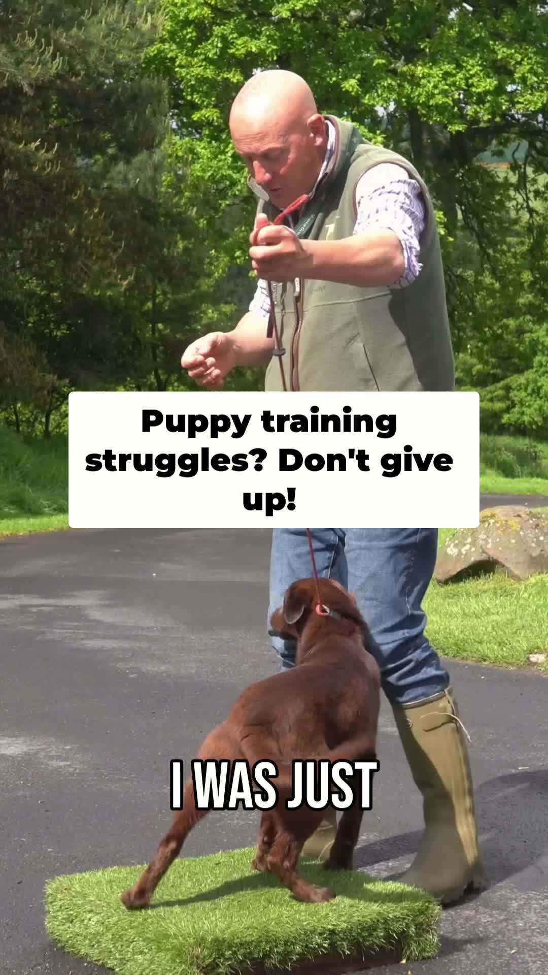 @Mordor Gundogs