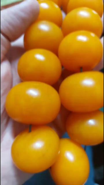 @YUSUF ROSARY