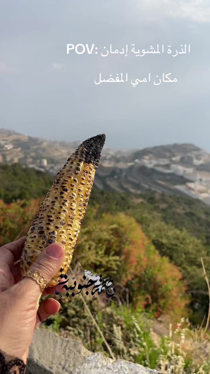 @Fyorella