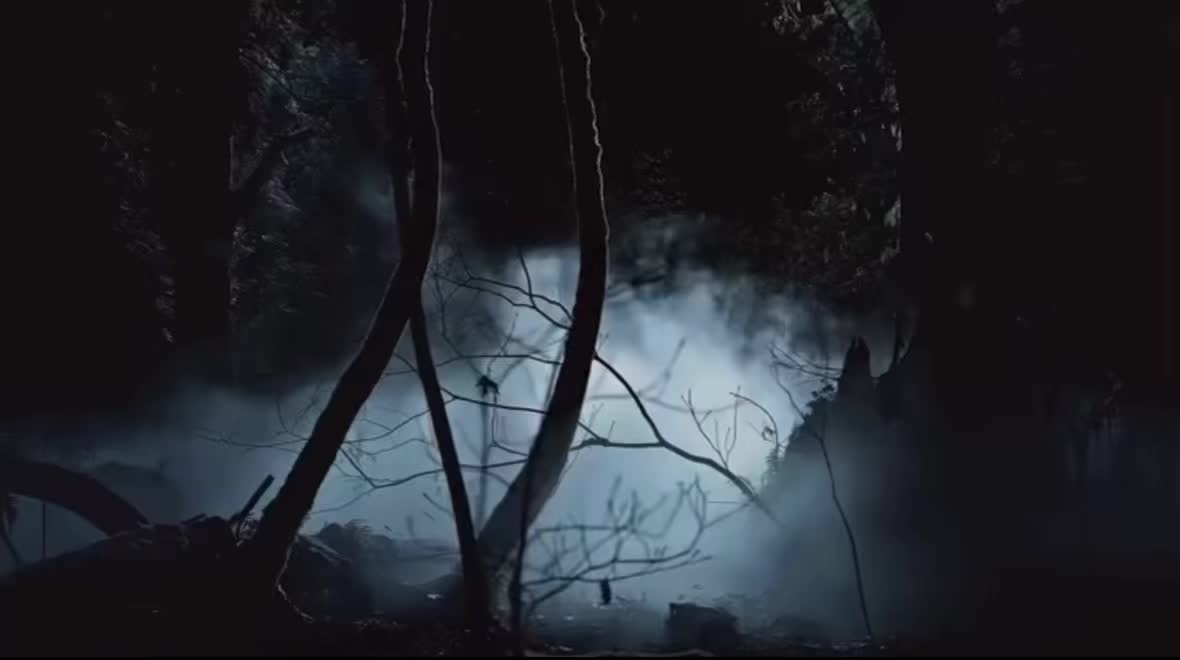 @Tvd-Fan
