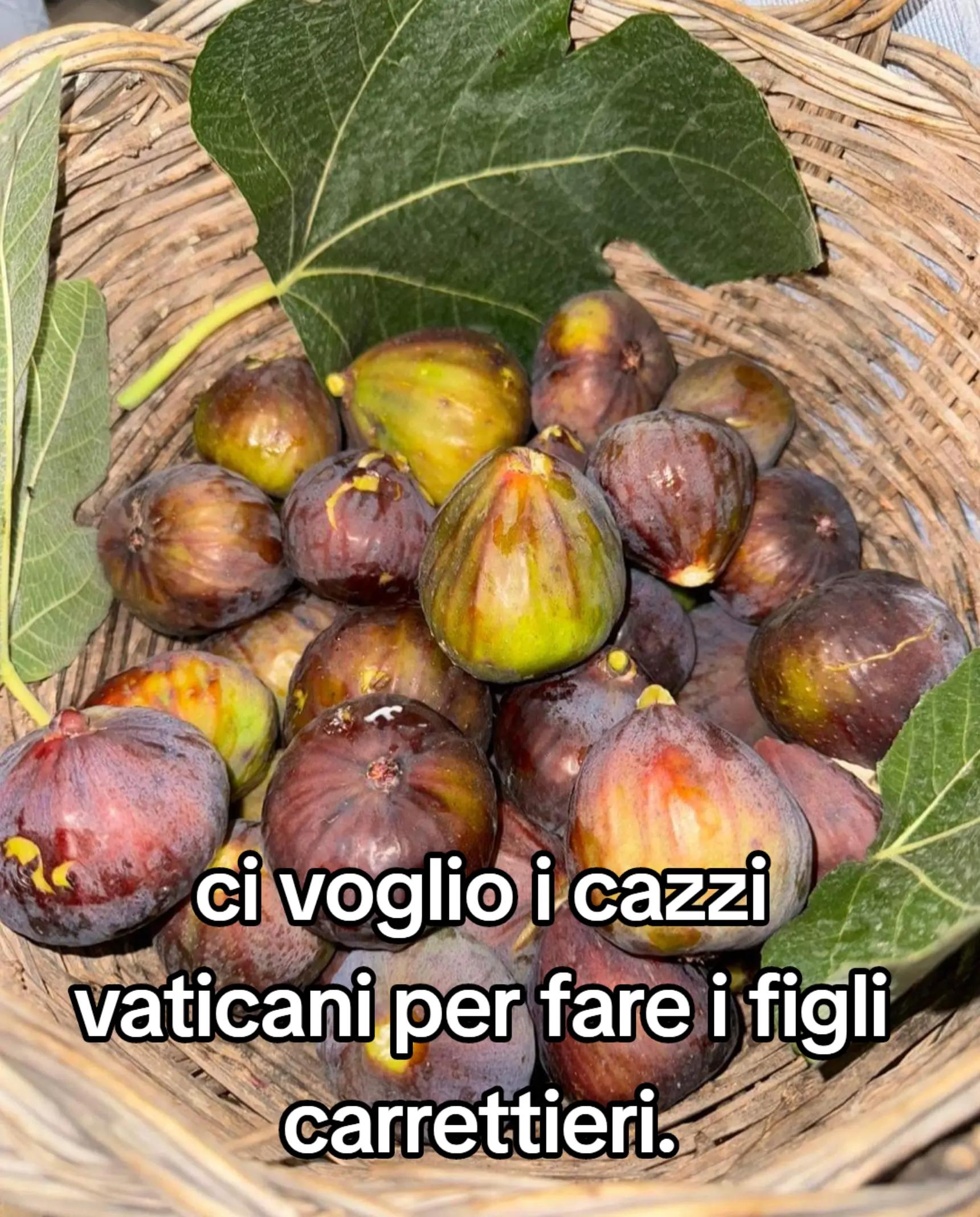 @ciropugliese379