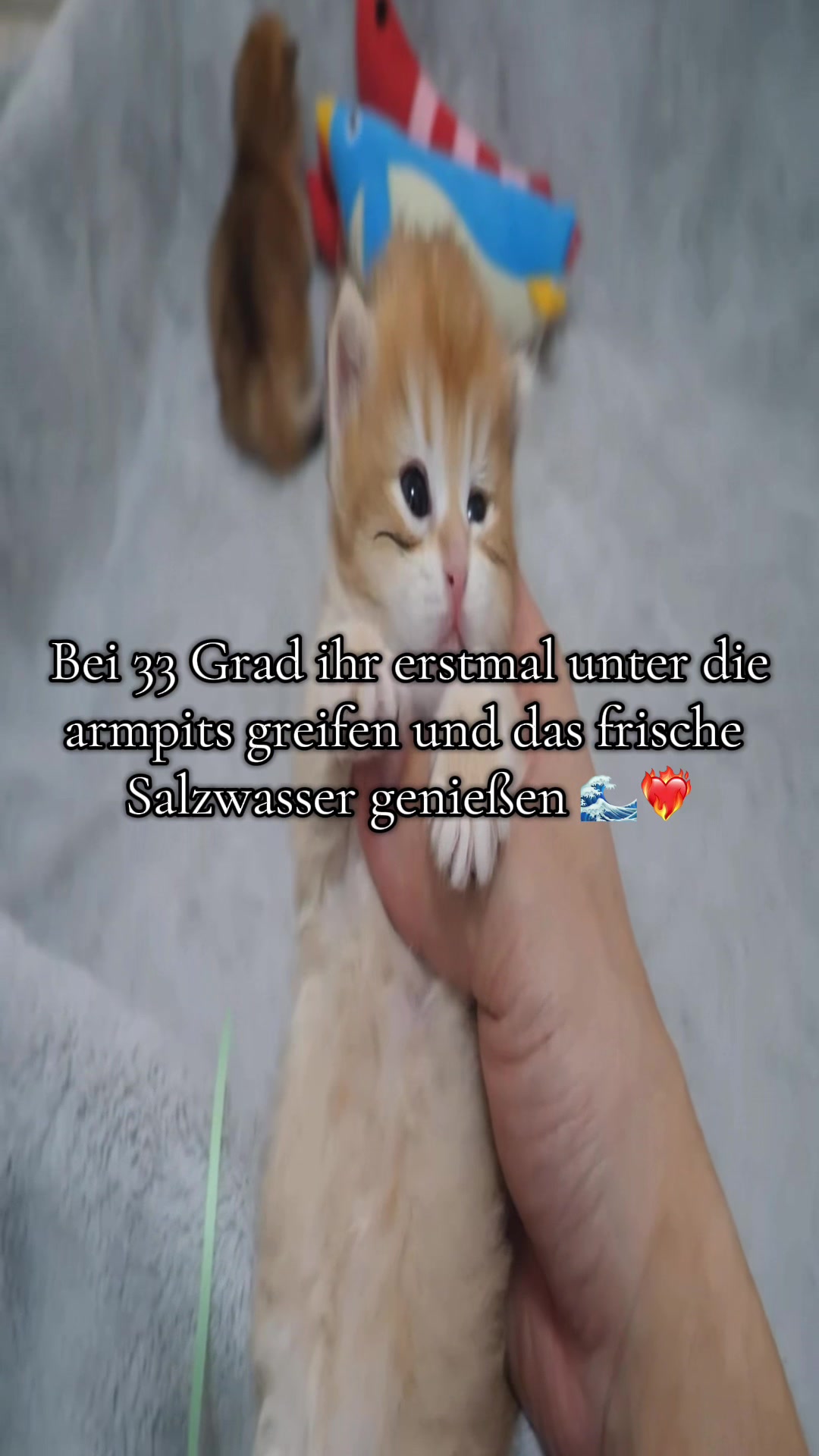 @Eierkopfsalat