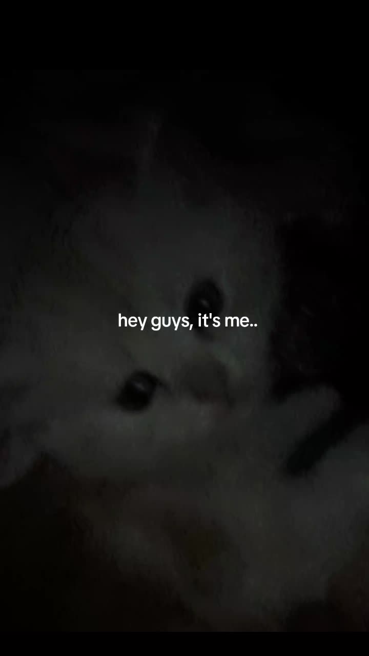 @𝐇  𝐢  𝐫  𝐨  𝐦  𝐢 ⚡️