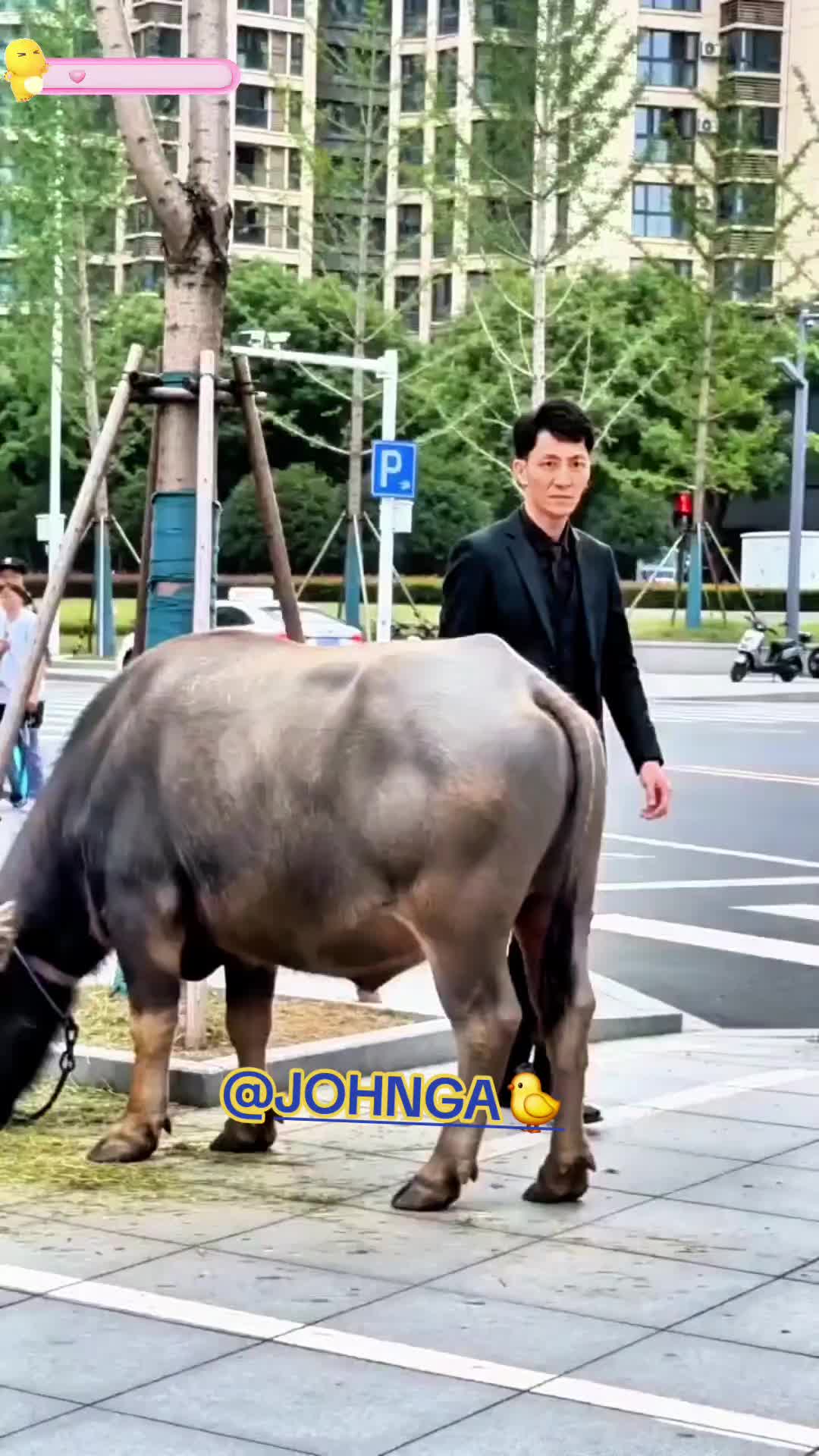 @JOHNGA🐤