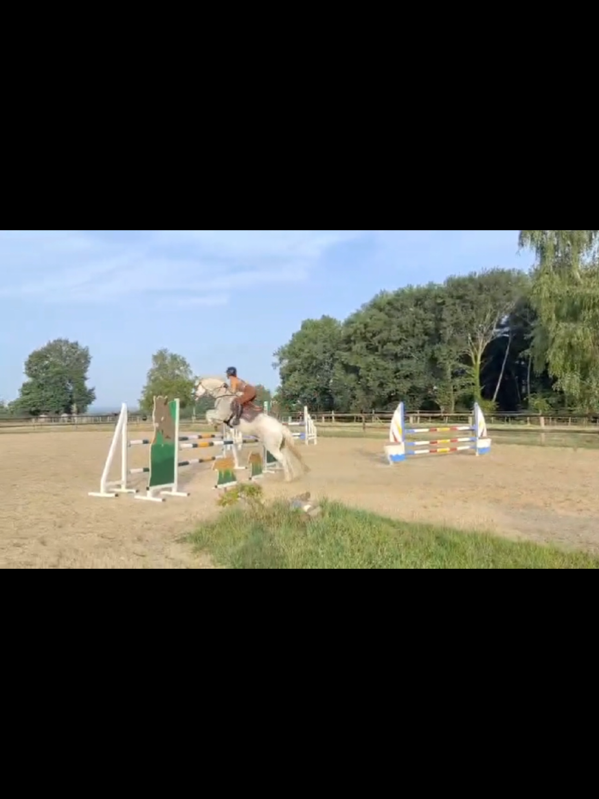 @Une.fleur.a.cheval