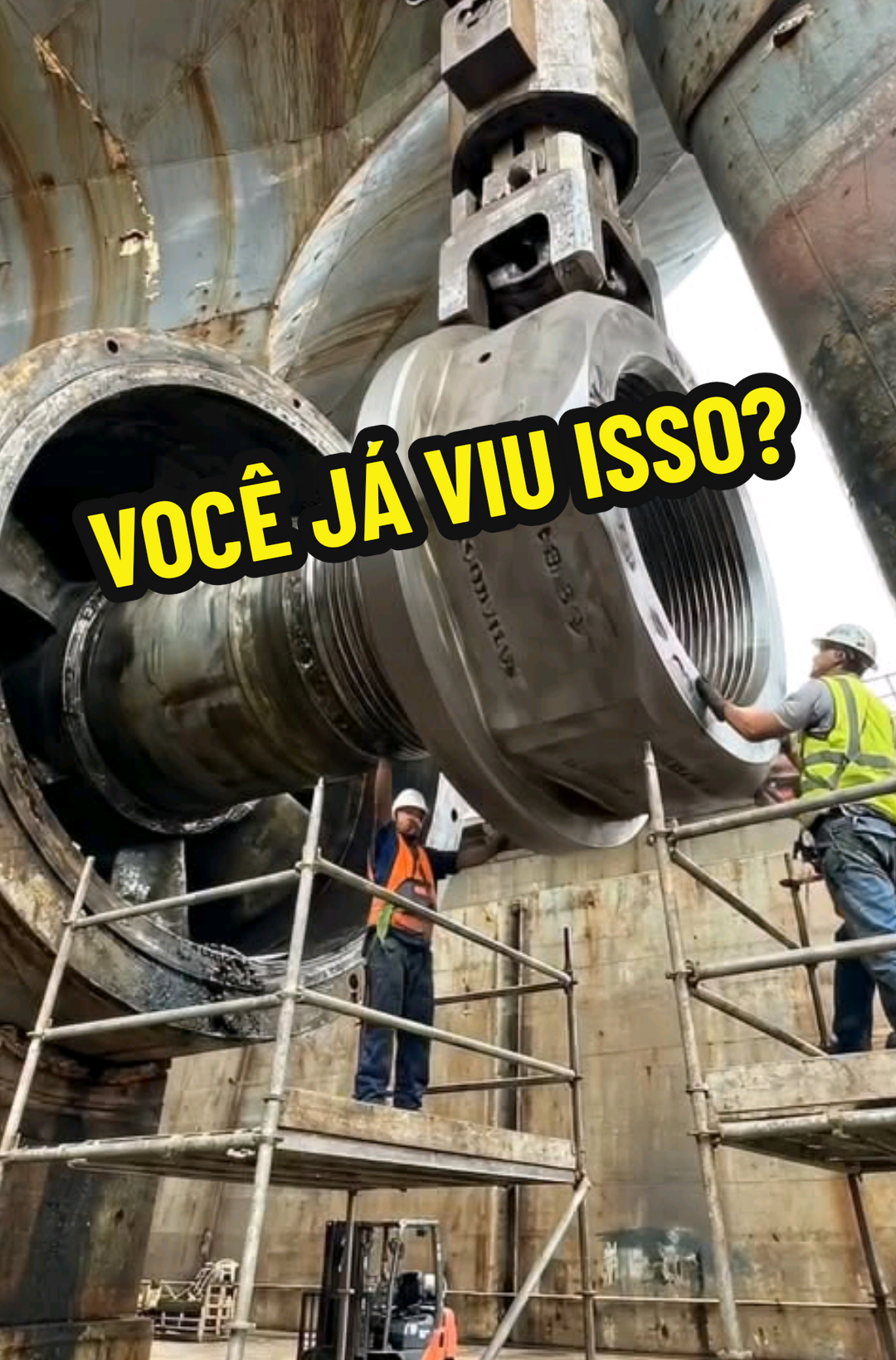 @RAIZ DO SABER