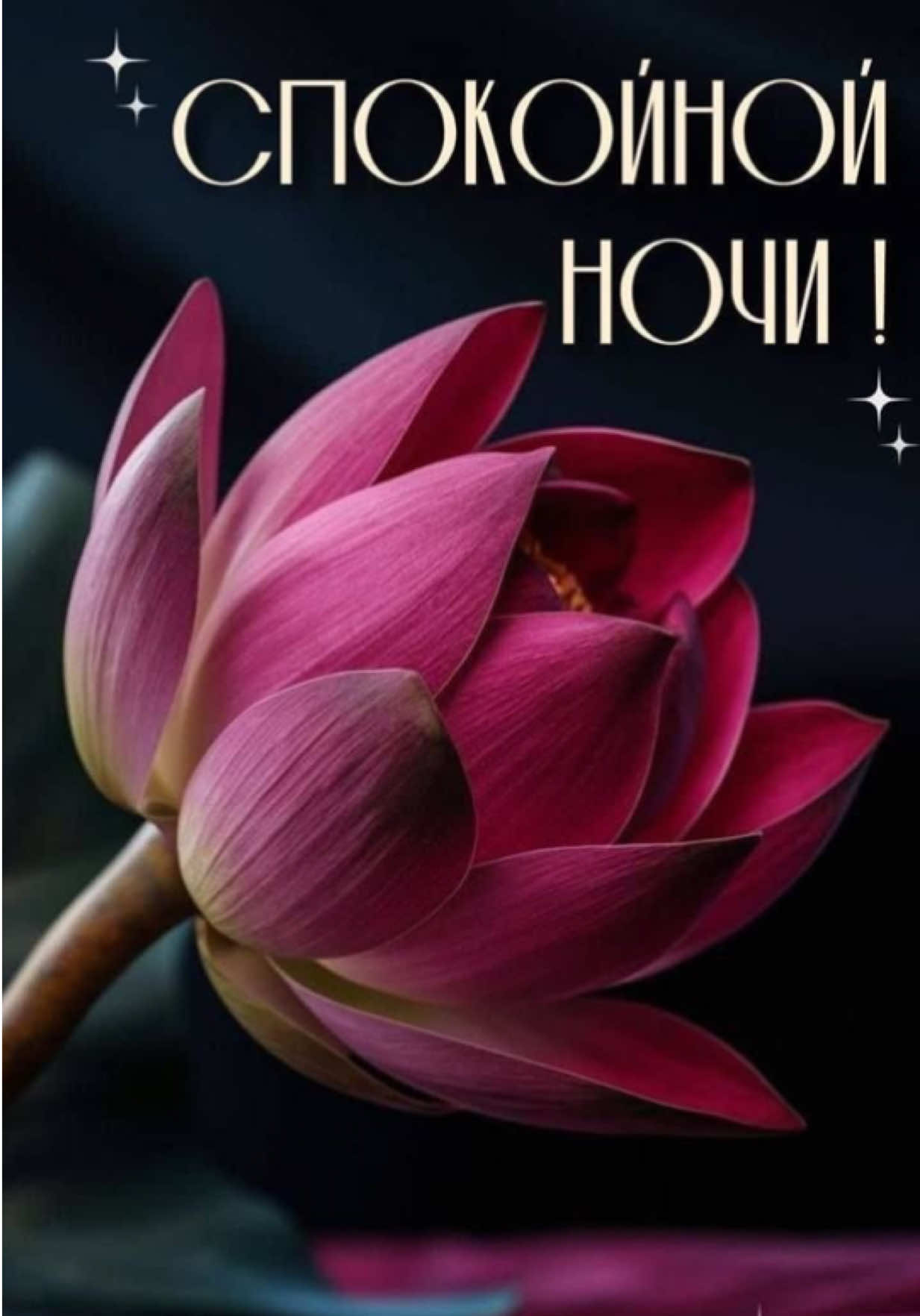 @111chao777