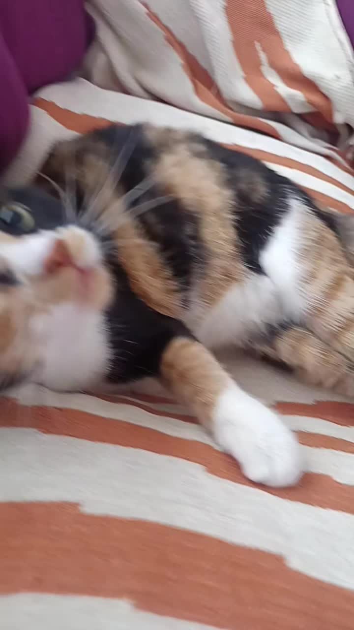 @Macarena🕊️❤️&zwj;🩹