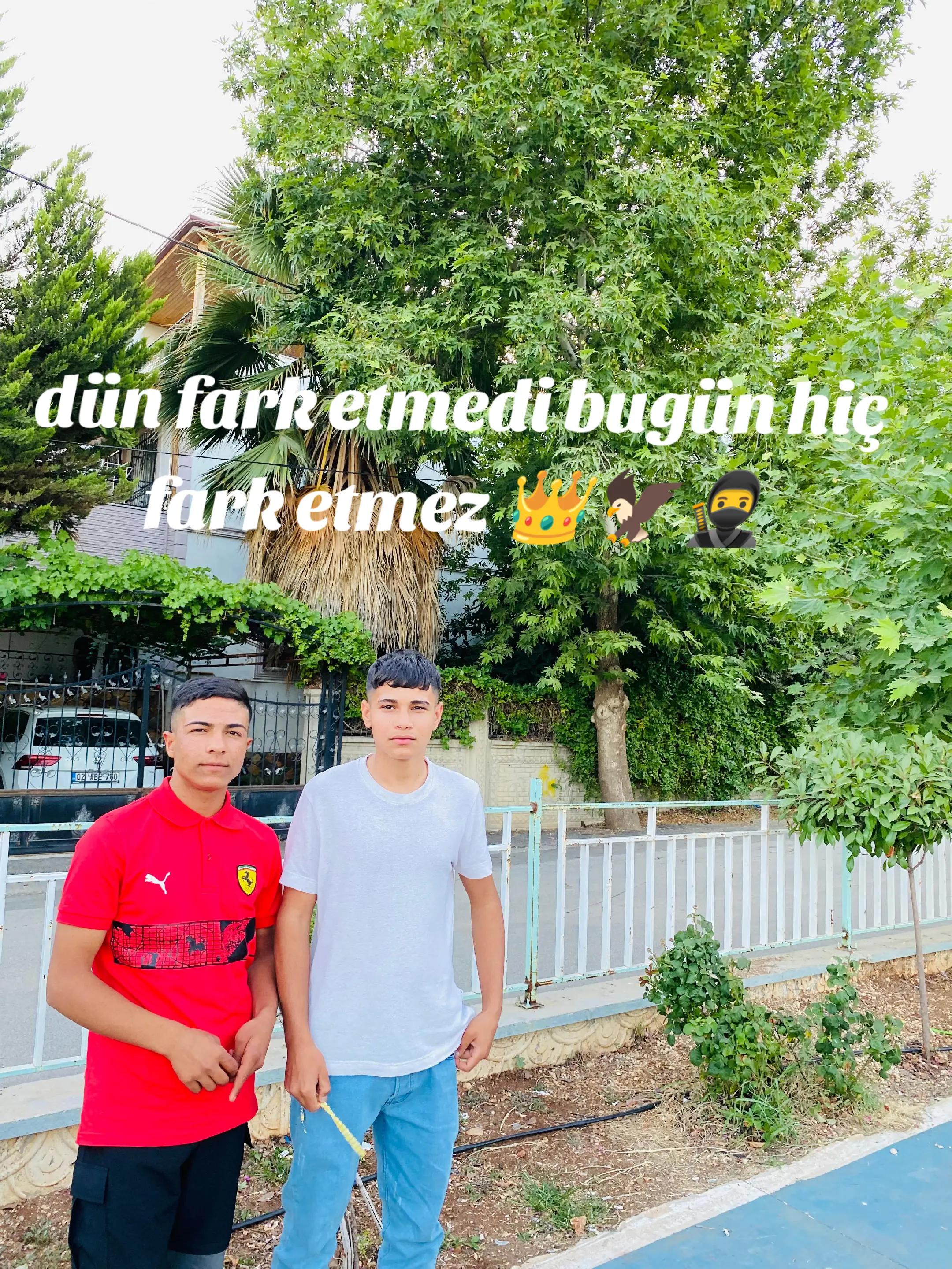 @𝘠𝘢𝘴𝘴𝘦𝘳 𝘢𝘭 𝘥𝘰𝘴𝘢𝘳𝘪