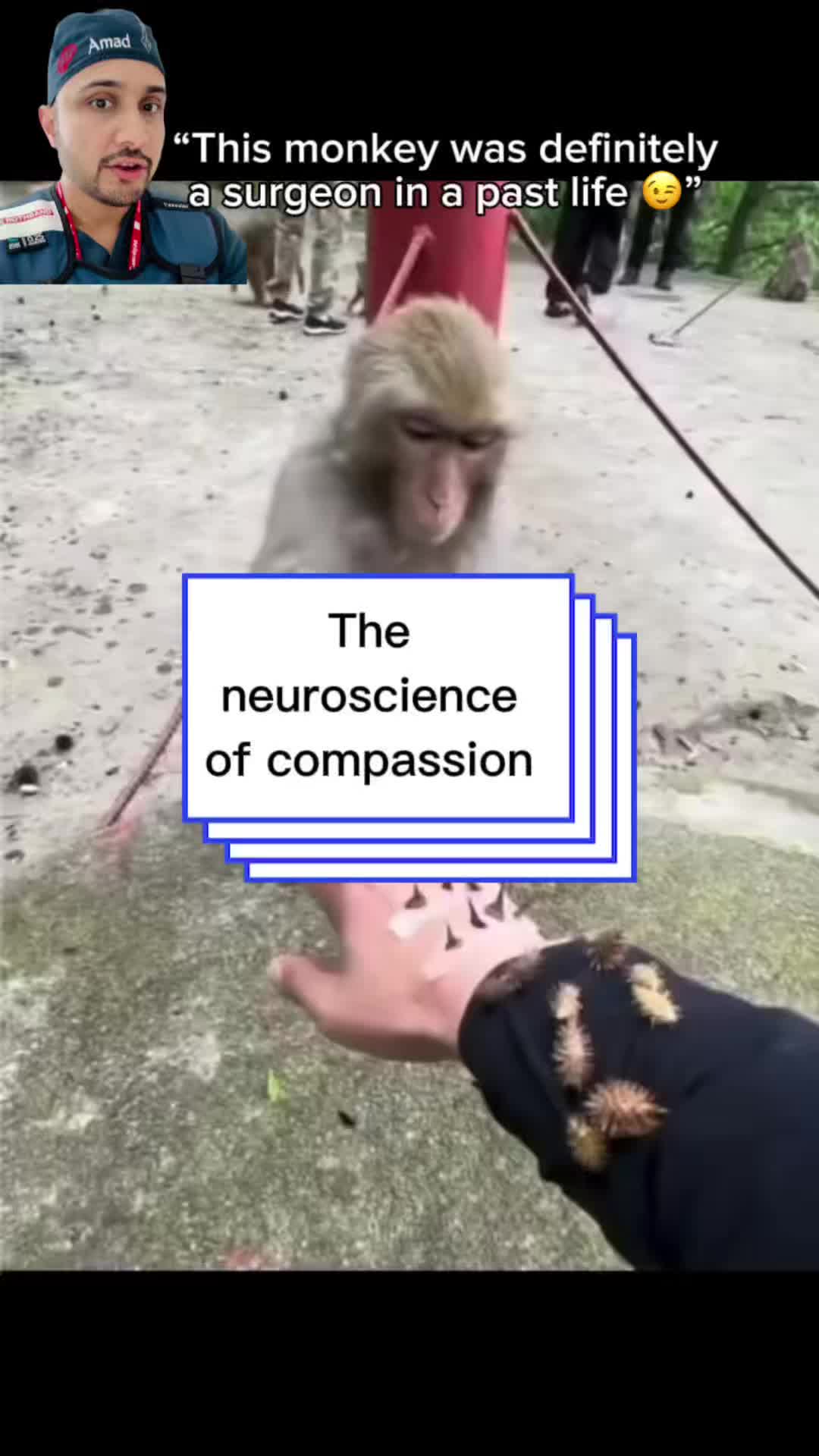 @Braindoc