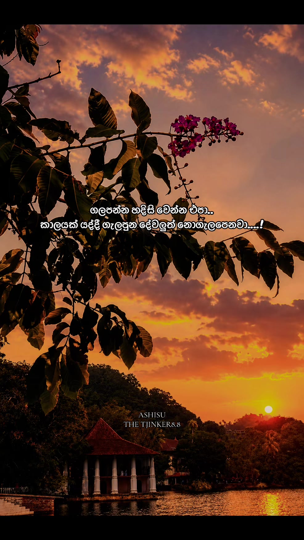 @asanthiraja33