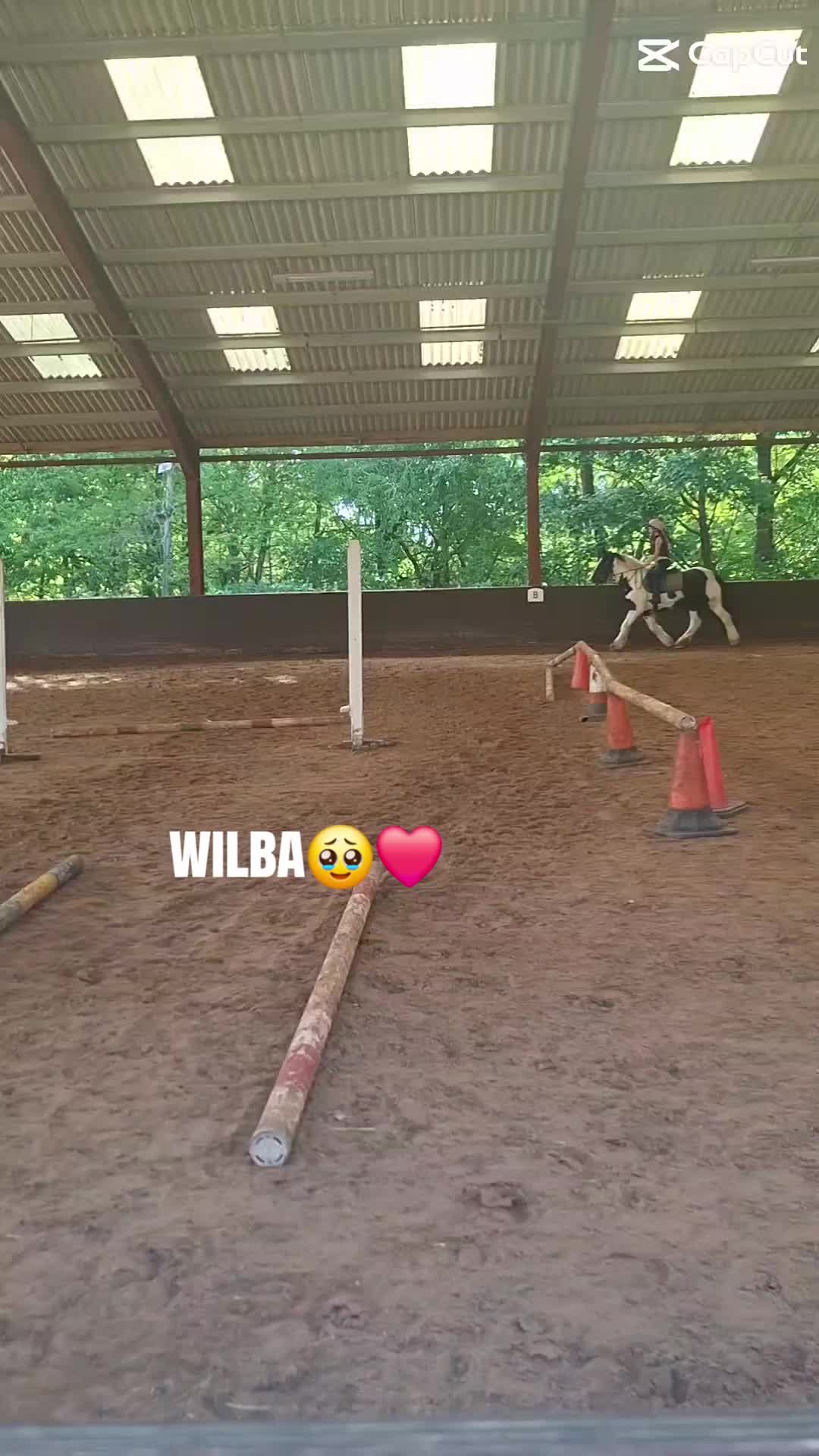@𑣲┆Scarlett_and_Wilba🤍♡