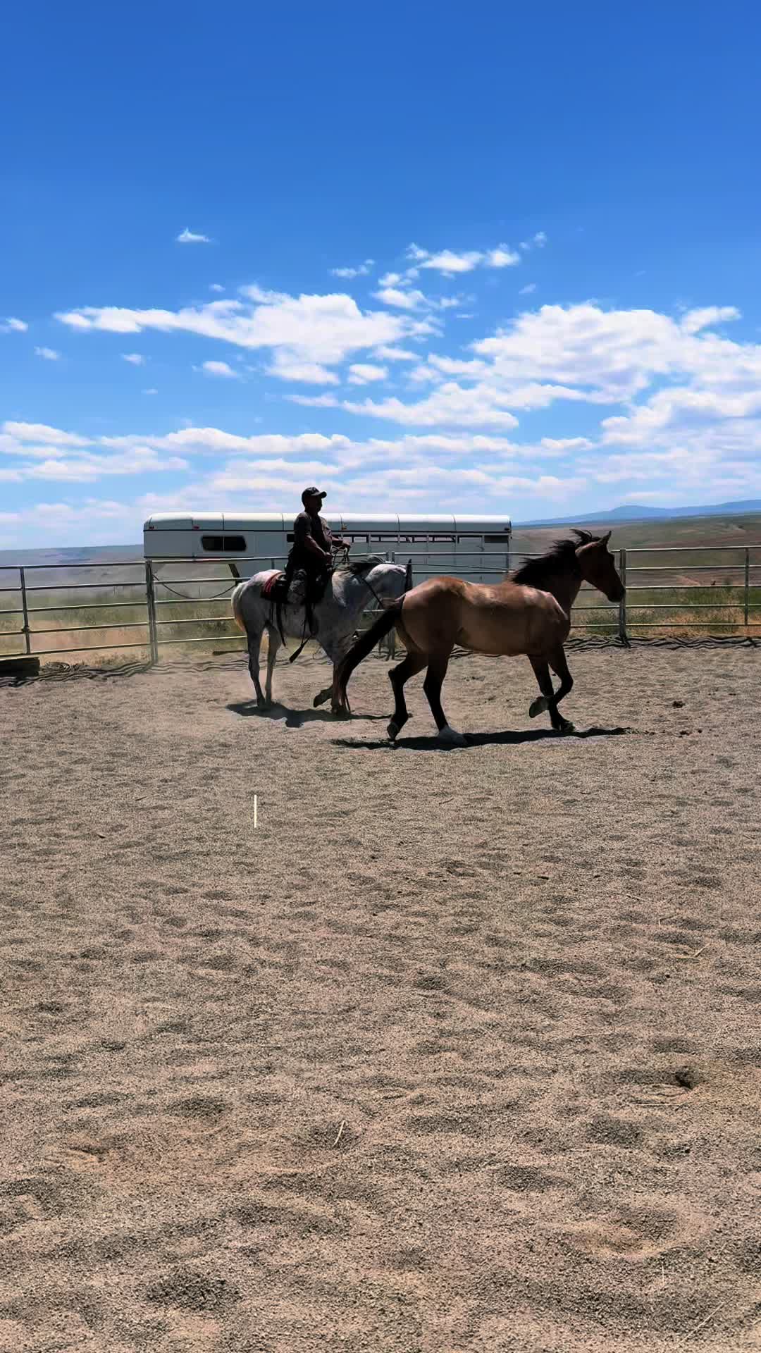 @Cowgirl Tuff Colt Training ❤️