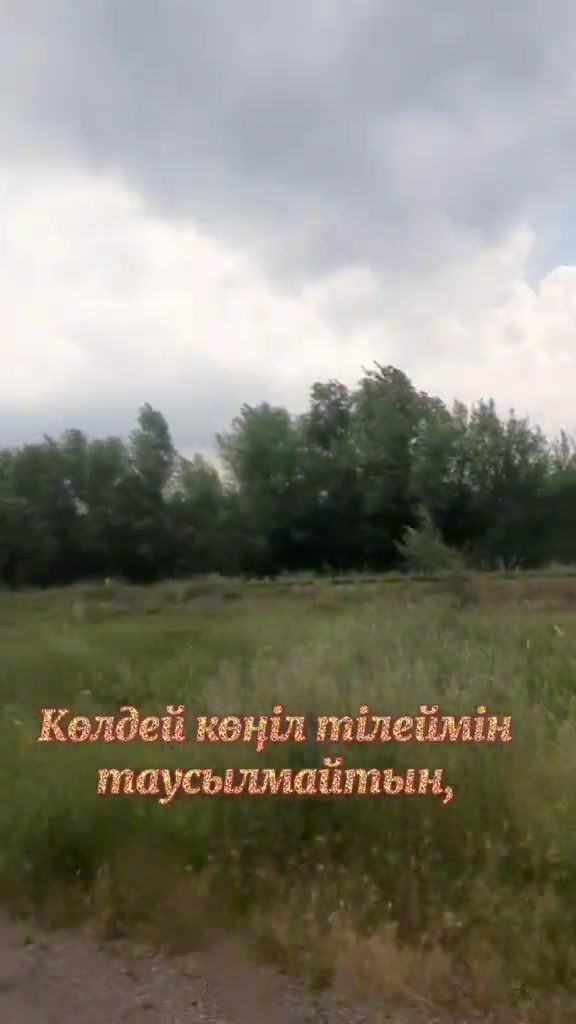 @Р.И.М