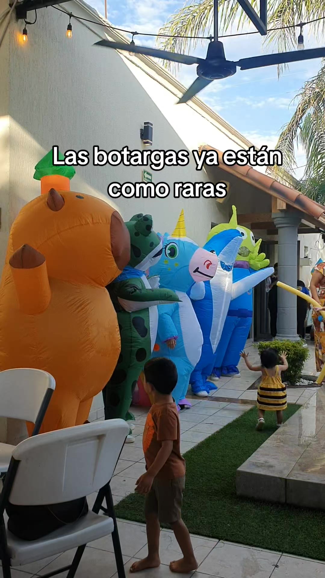 @Karlache