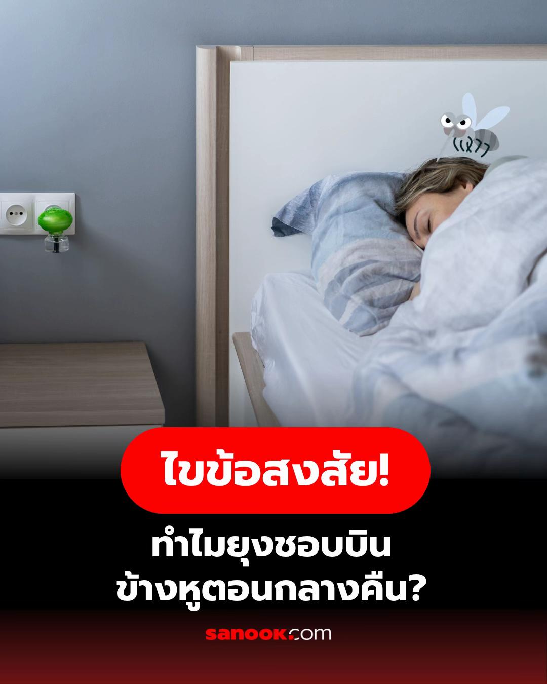 @sanook.com