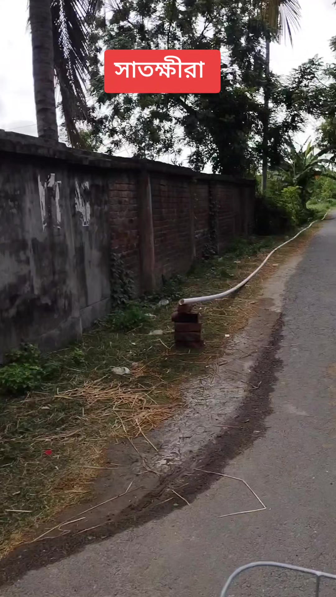 @সুকনা মরিচ🌶️🌶️🌶️