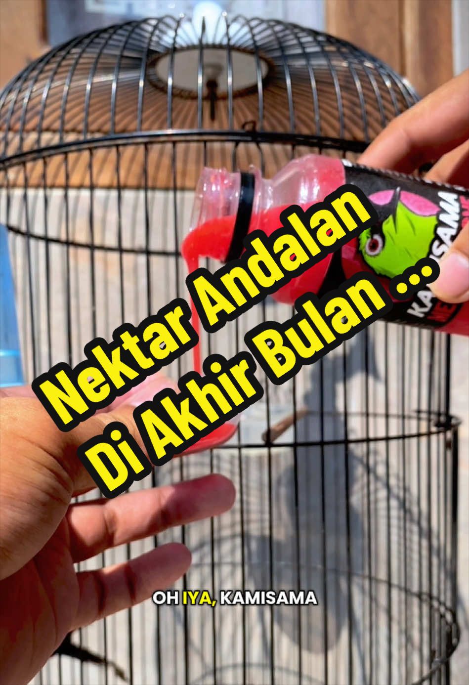 @GeDang Manuk