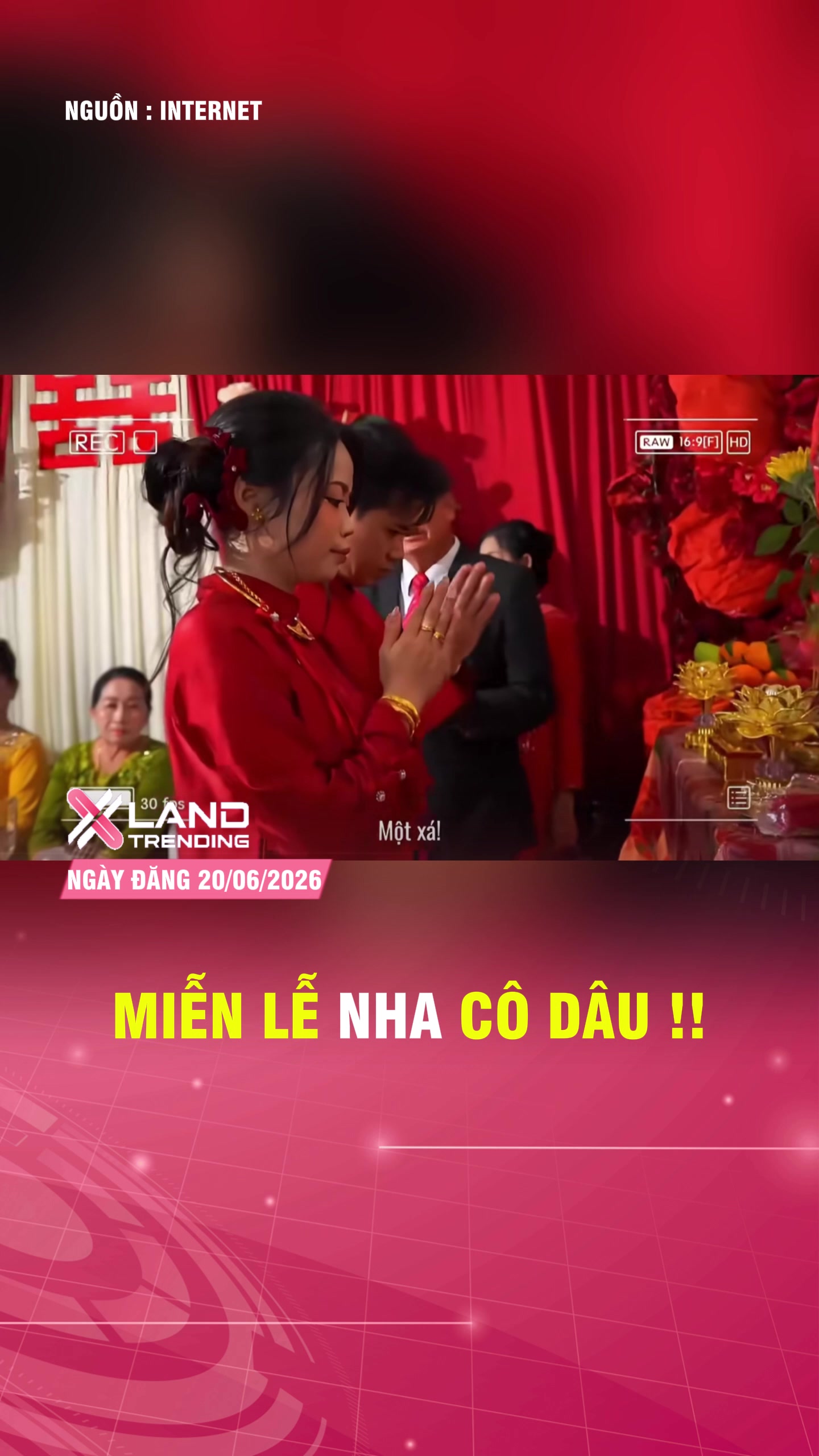 @XLAND TRENDING