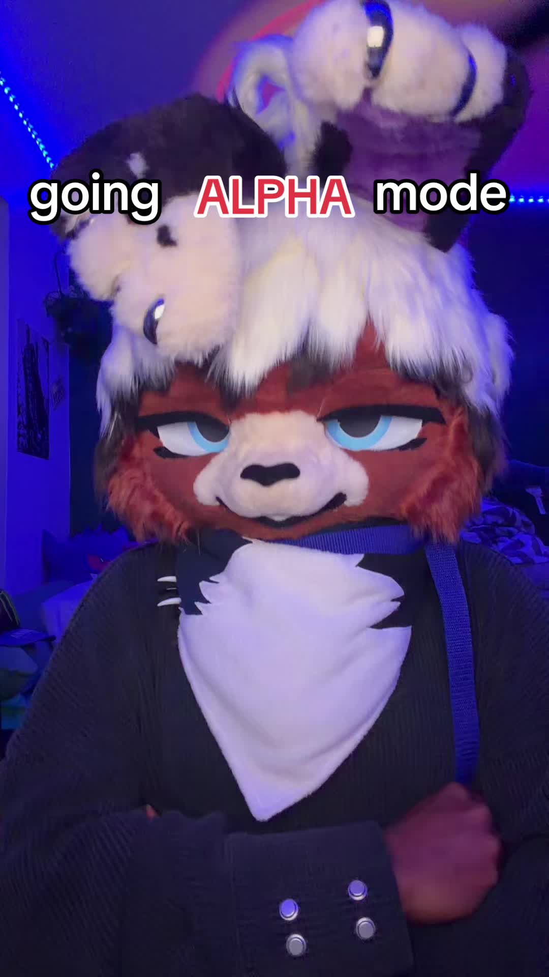 @wai.thebunny