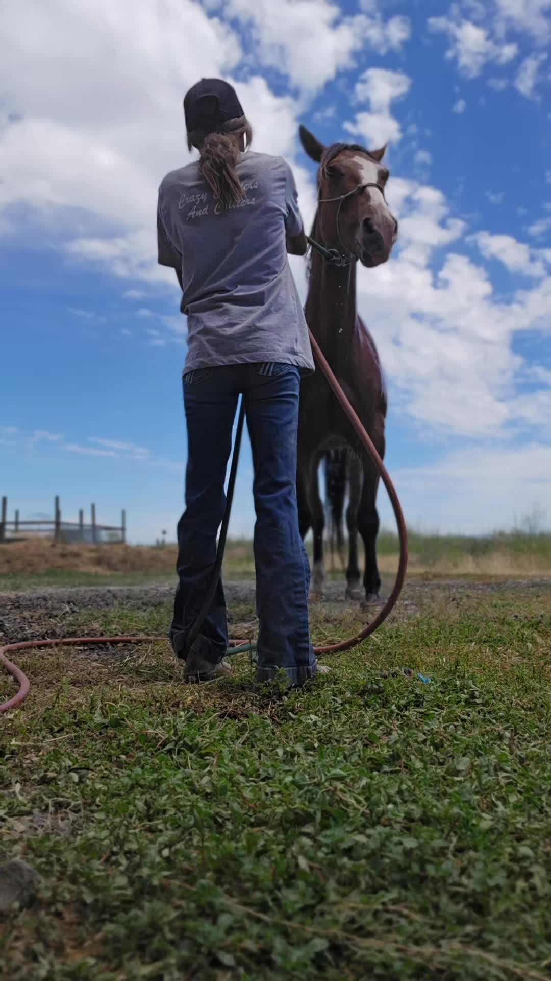 @Cowgirl Tuff Colt Training ❤️