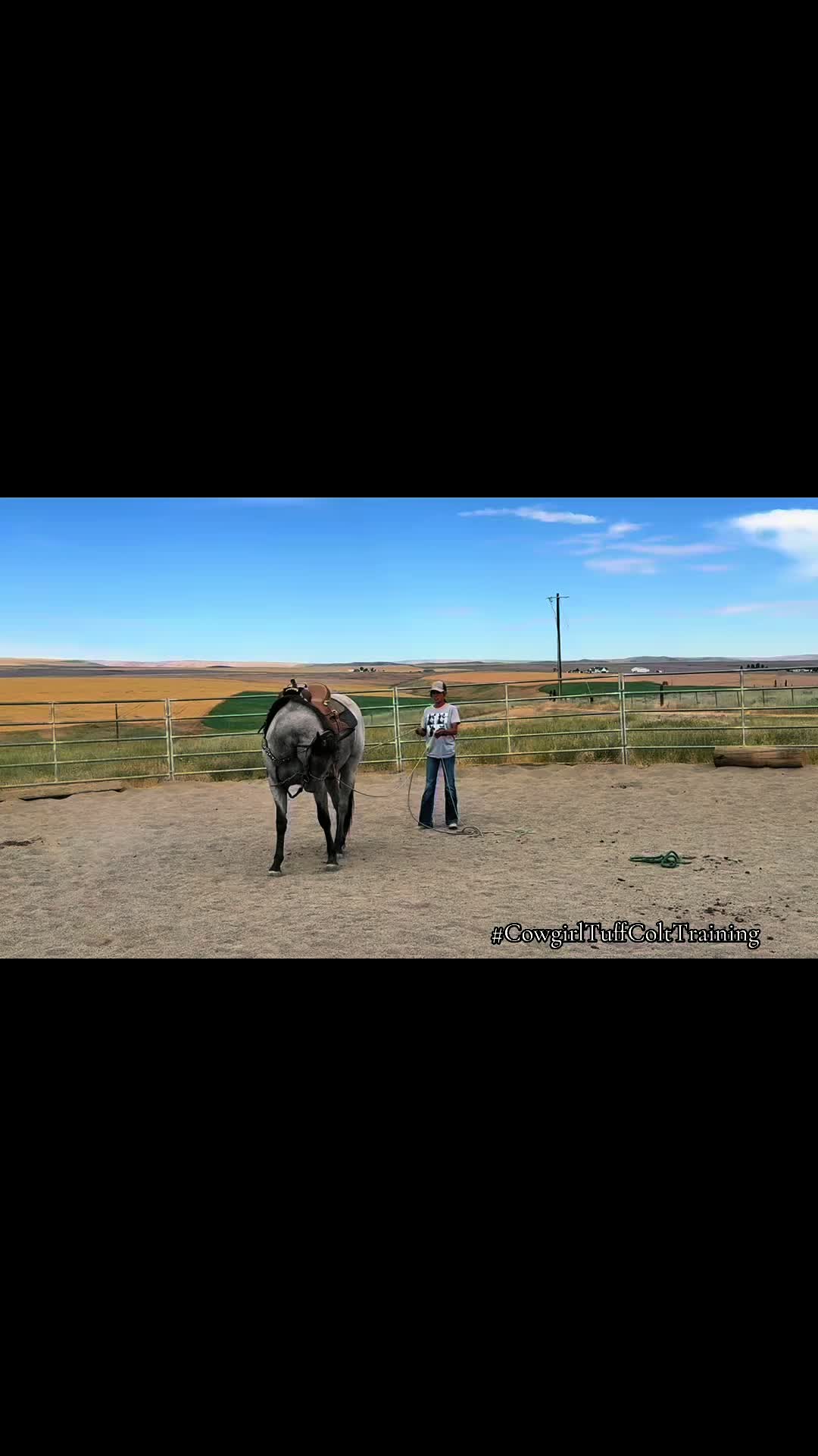 @Cowgirl Tuff Colt Training ❤️