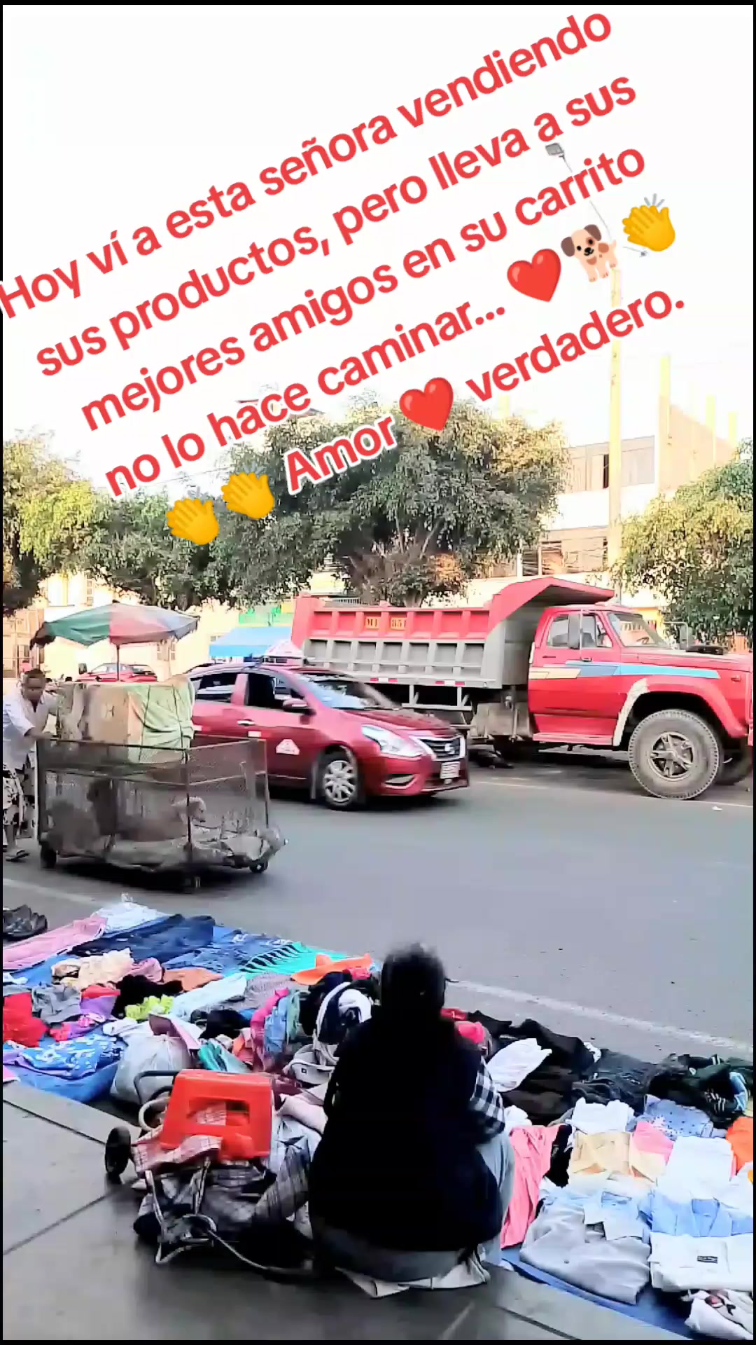 @🌷 Sarita y los callejeritos