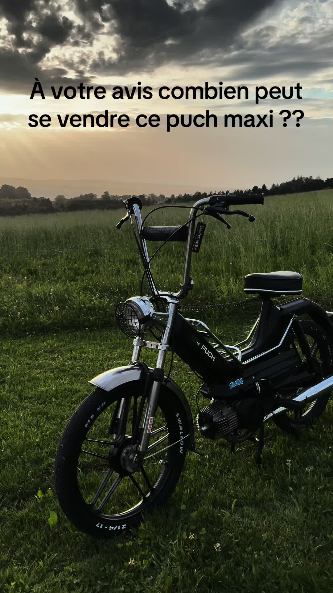 @Black_Puch_swiss