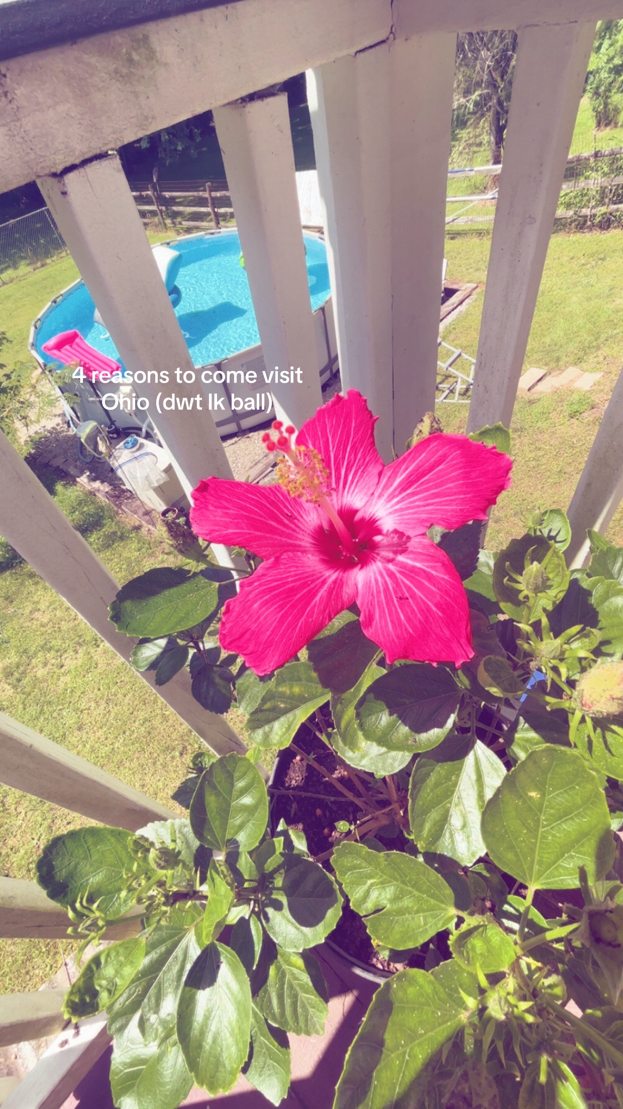 @ABBYGAIL 🌺👙🌅🍉