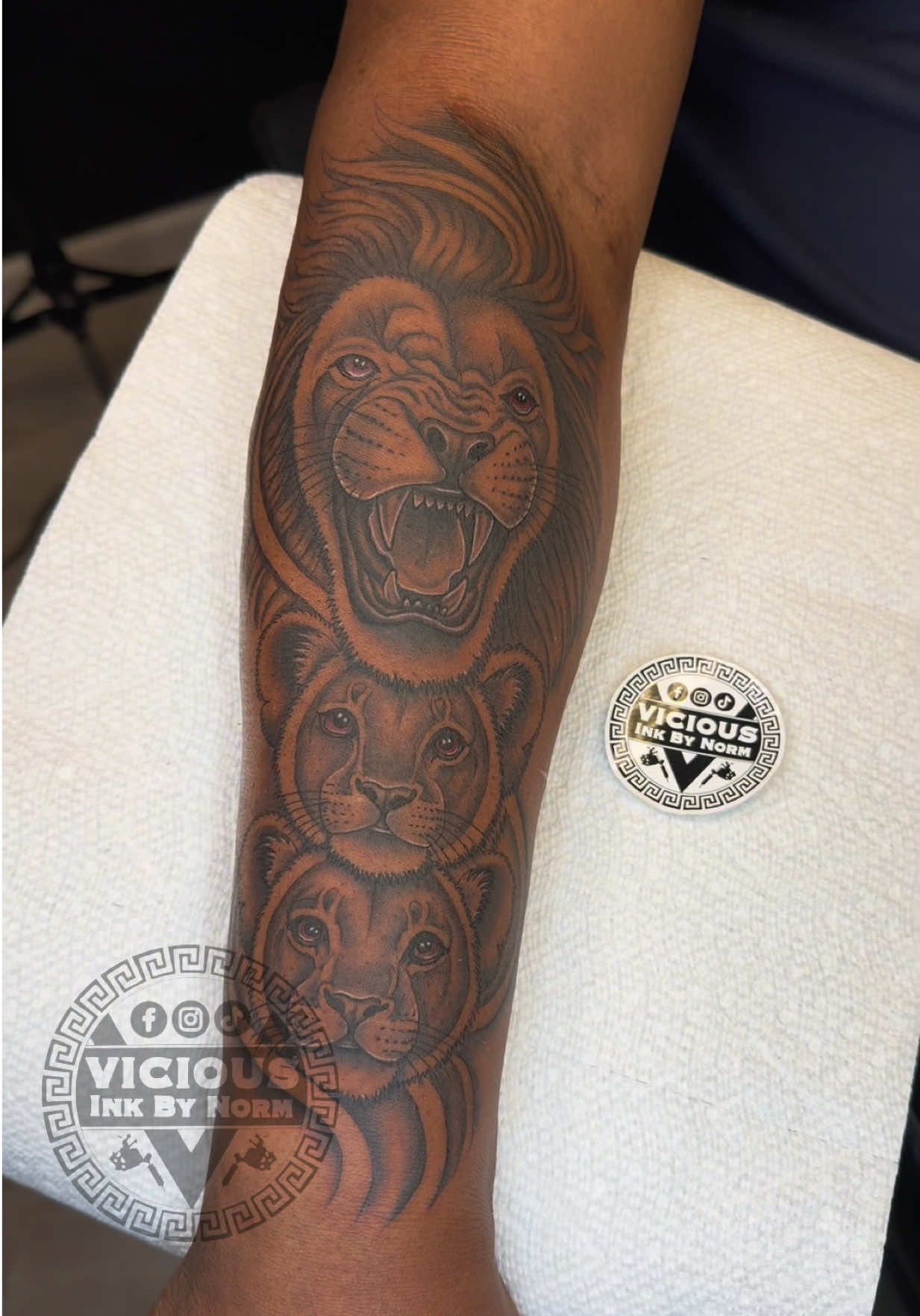 @Vicious Ink By Norm