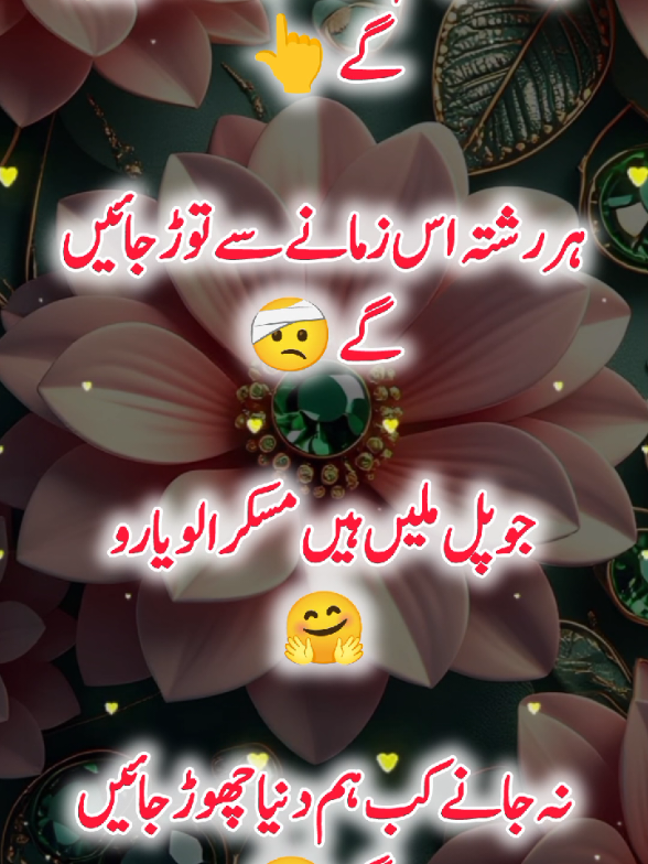 @Janyman379