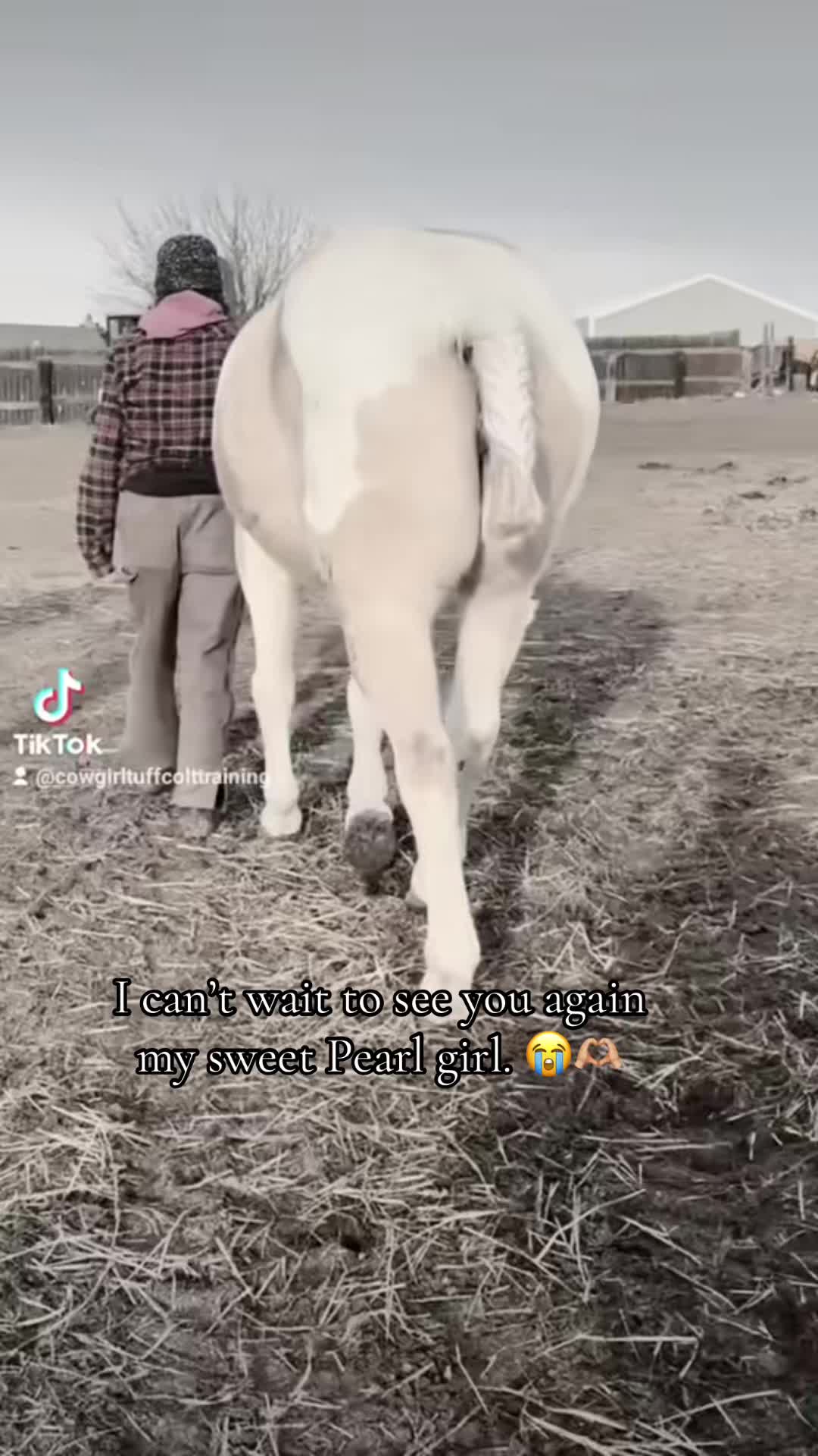 @Cowgirl Tuff Colt Training ❤️