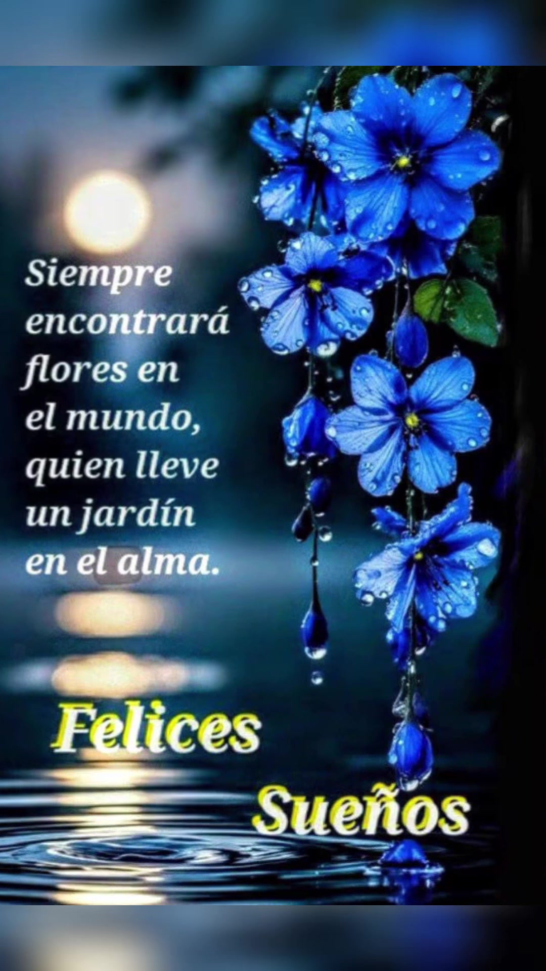 @elvirasvg