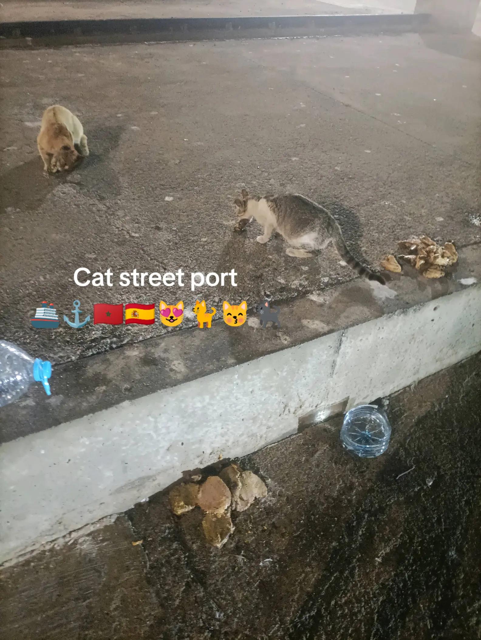 @messi😻ostora🇪🇸🇲🇦👍⚓👋🏝️