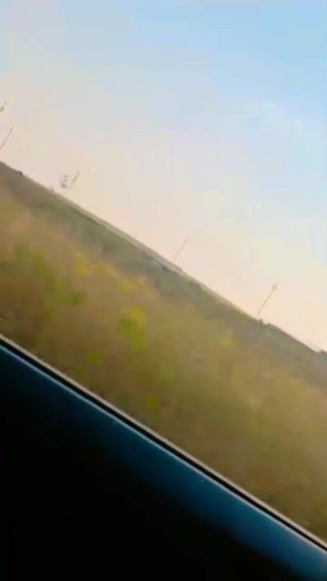 @هّـدٍيِّــلَ 𐦍