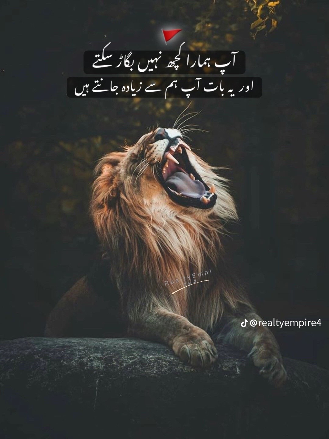 @usama hu yaar❤️&zwj;🔥😜🤪