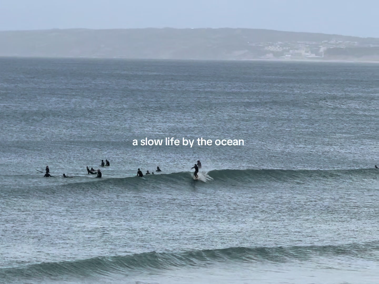@puckjosephinee