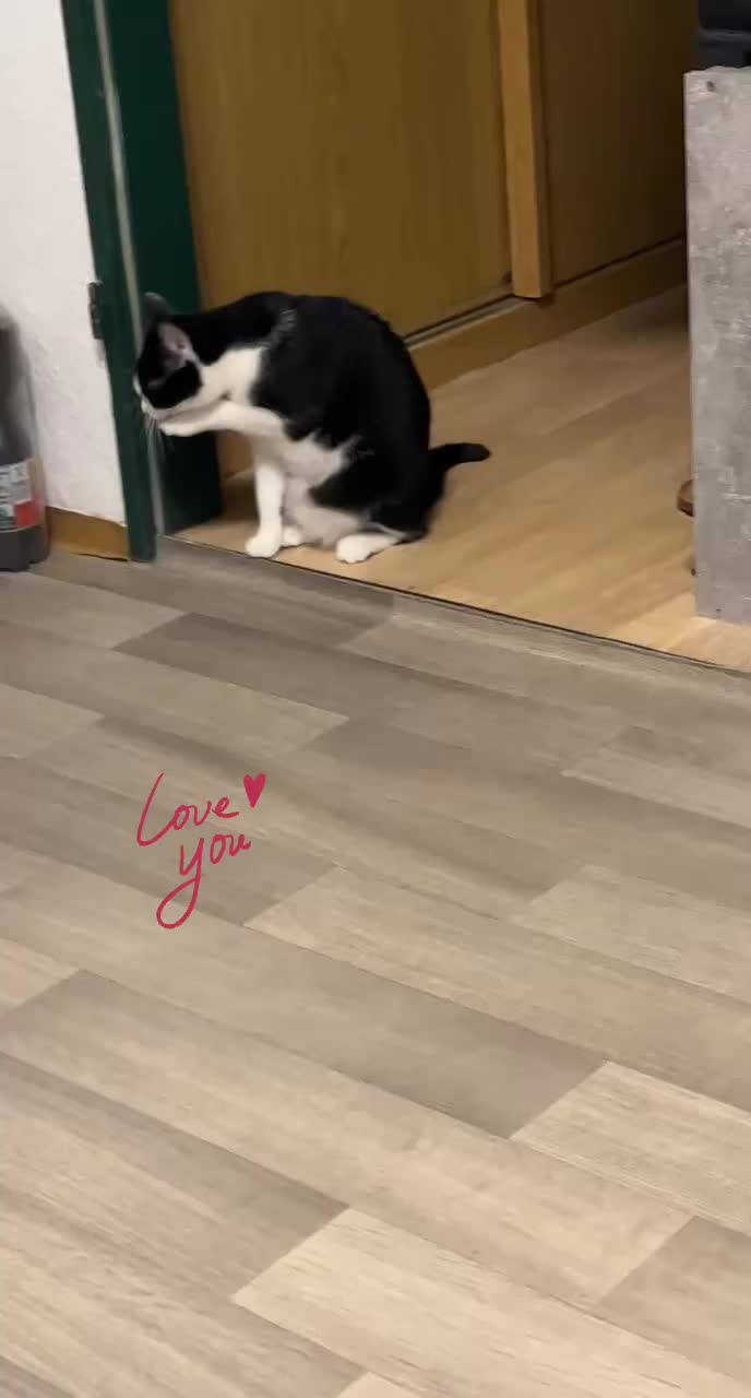 @🐾MILKAM🖤WHISKEYM🩶🐾A❤️🫂