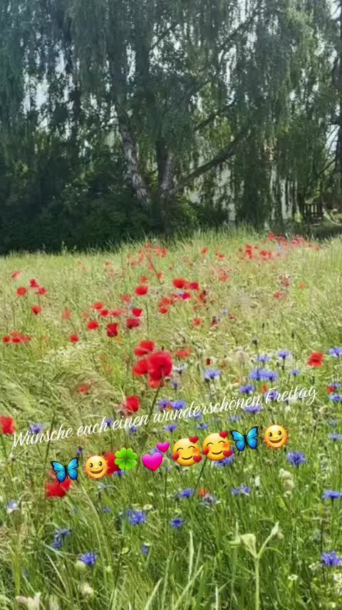 @Ich bin ich ❤🌞❤