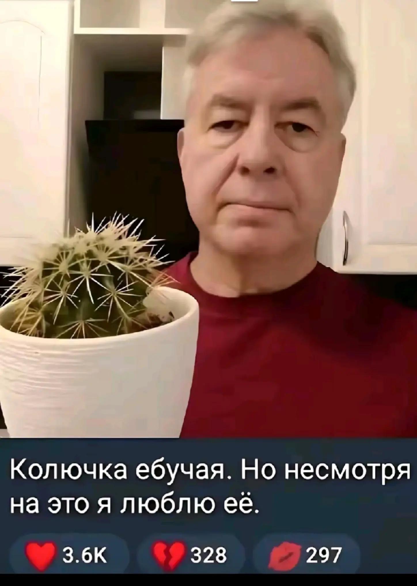 @булочки аля Грейсон