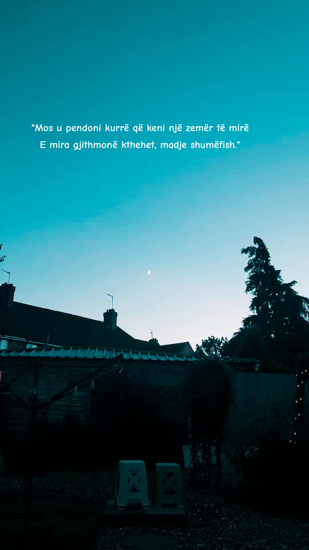 @✨️