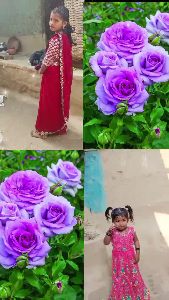 @mukhiya brand