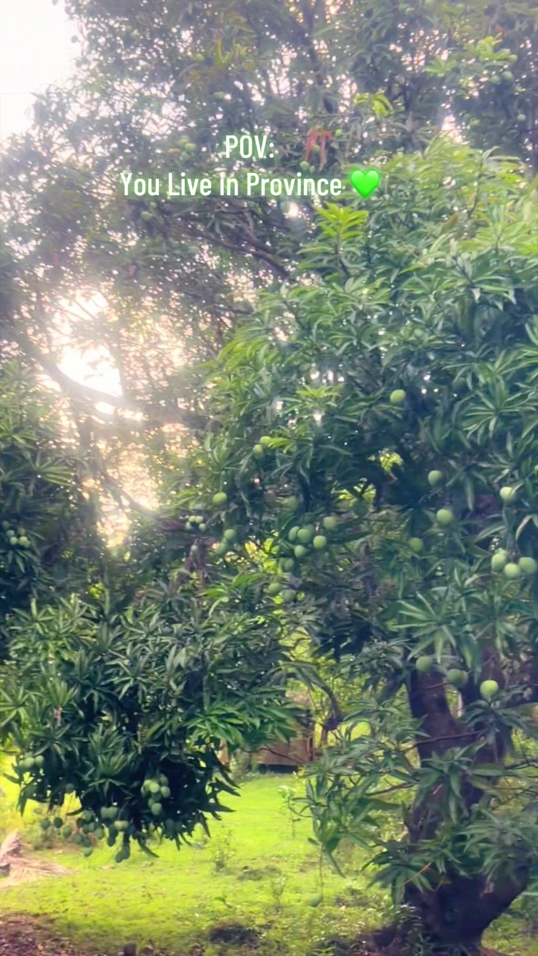 @ms.jenn🌴